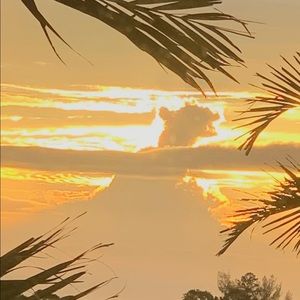 Meet your Posher, Carmela